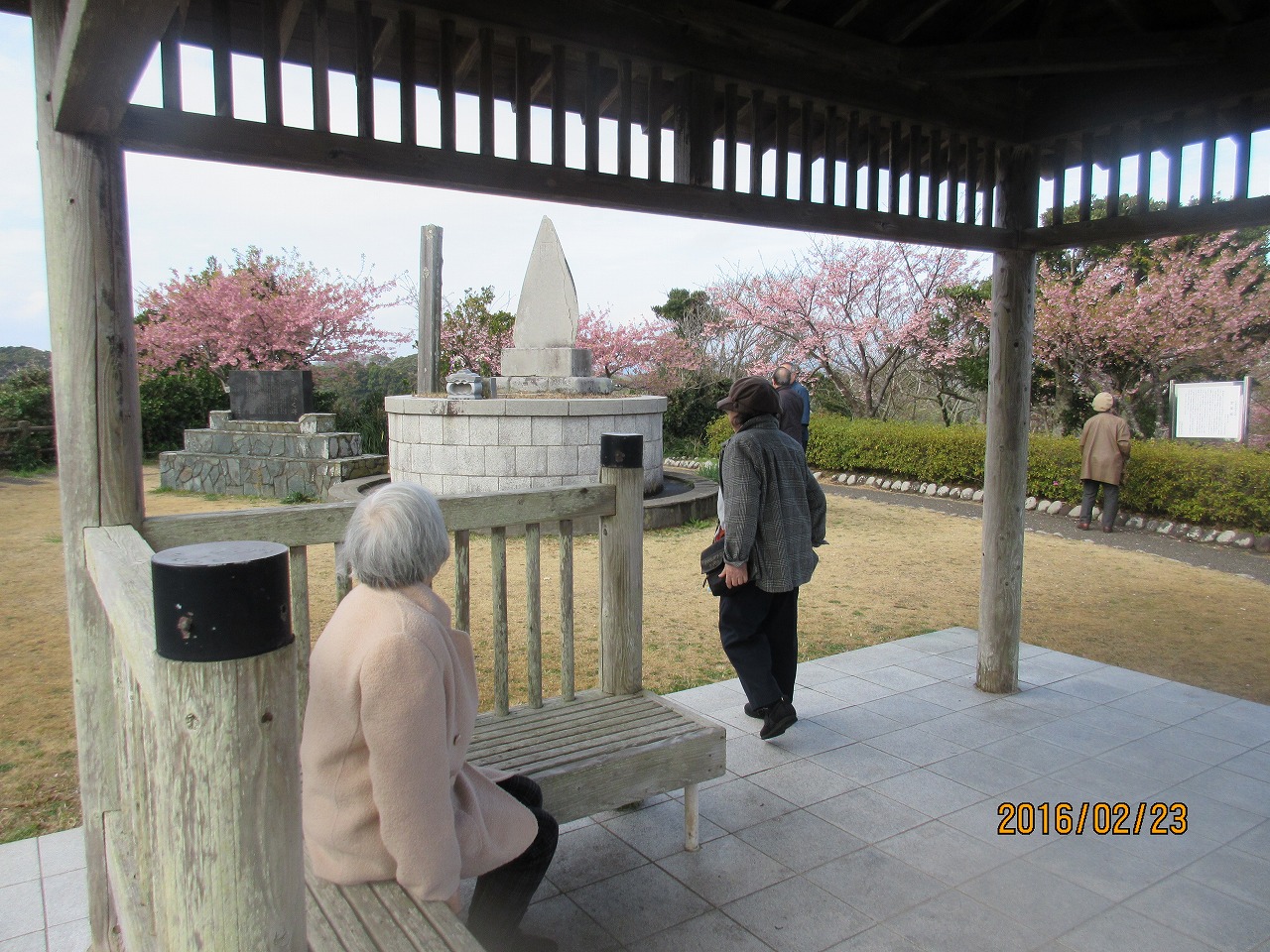 画像5