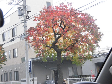 画像3