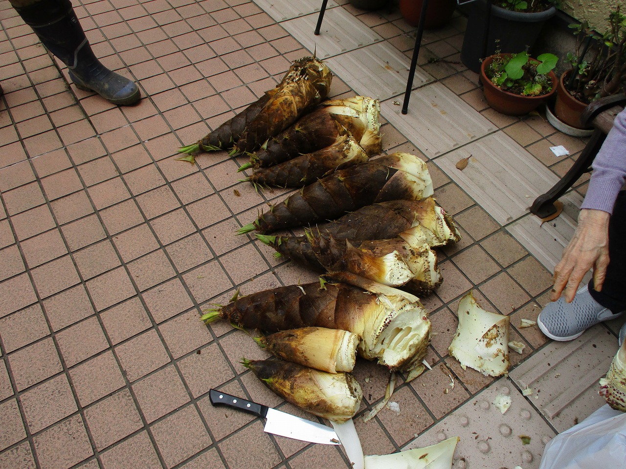 画像2