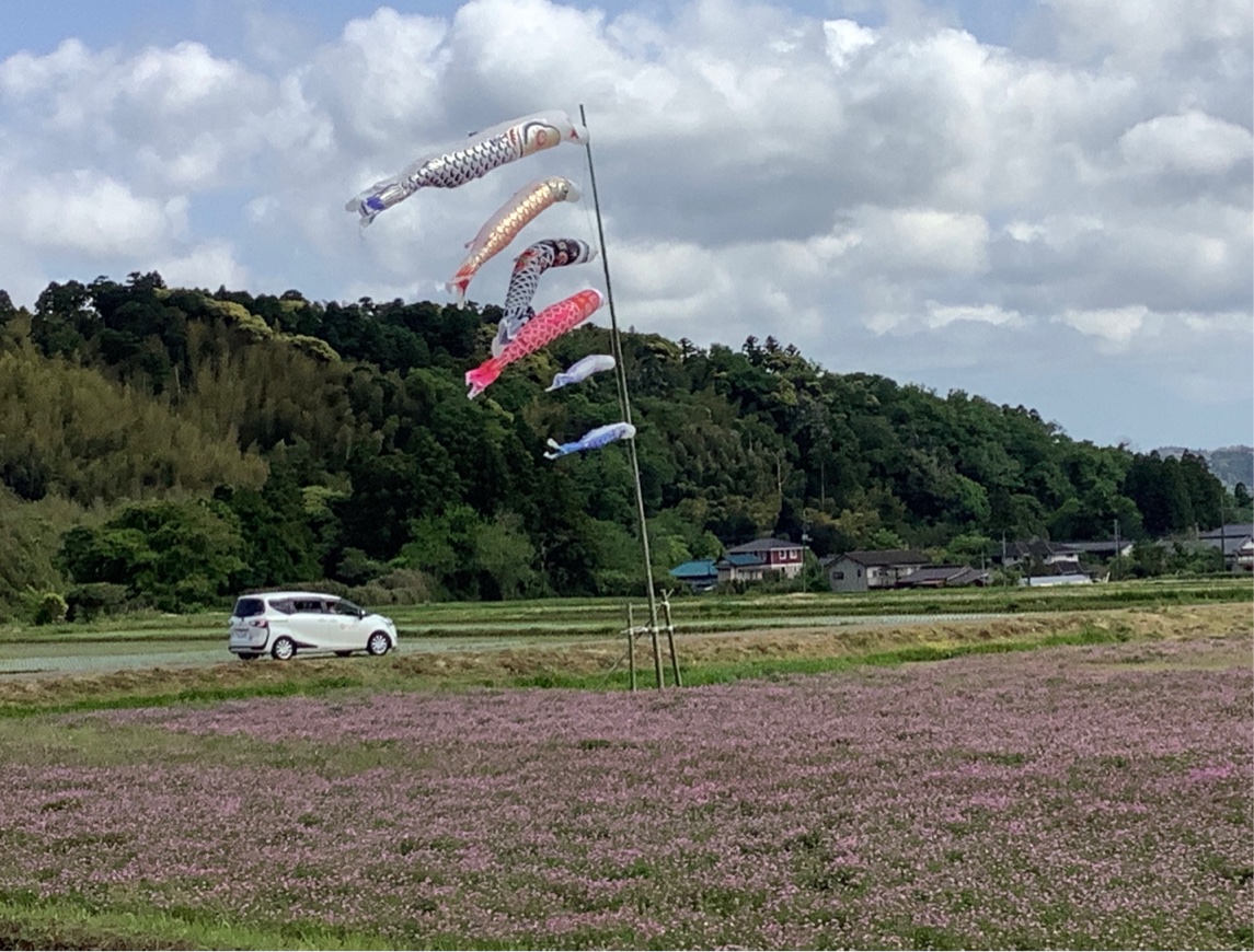 画像3