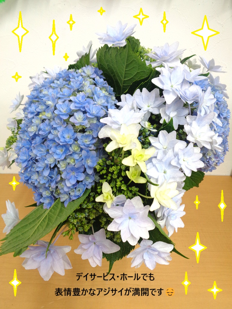 画像6